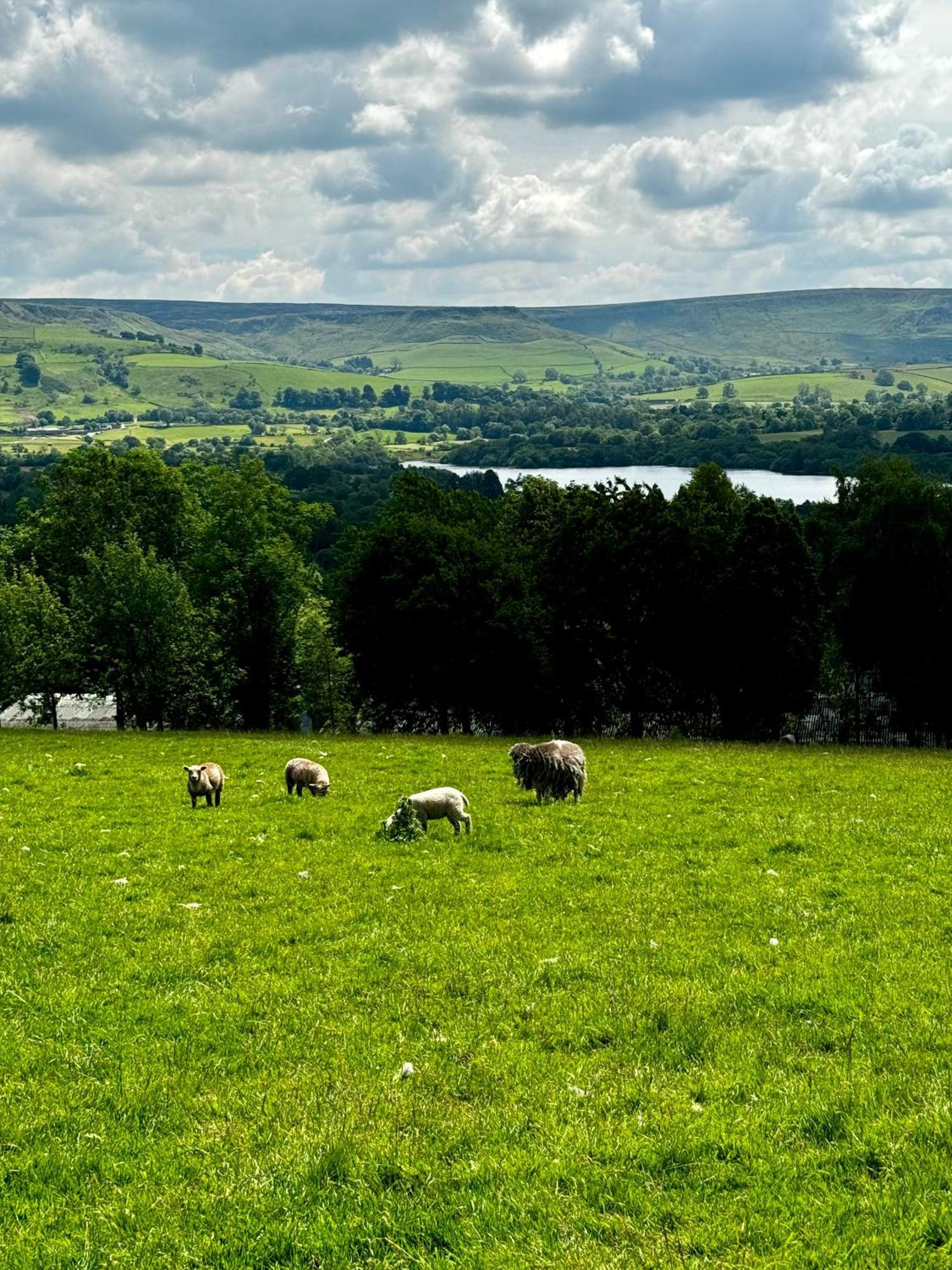 Lyndale Taxal Exterior foto